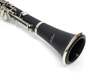 ハインリッチのクラリネット 618LmKIaR3L._UF350,350_QL50_.jpg