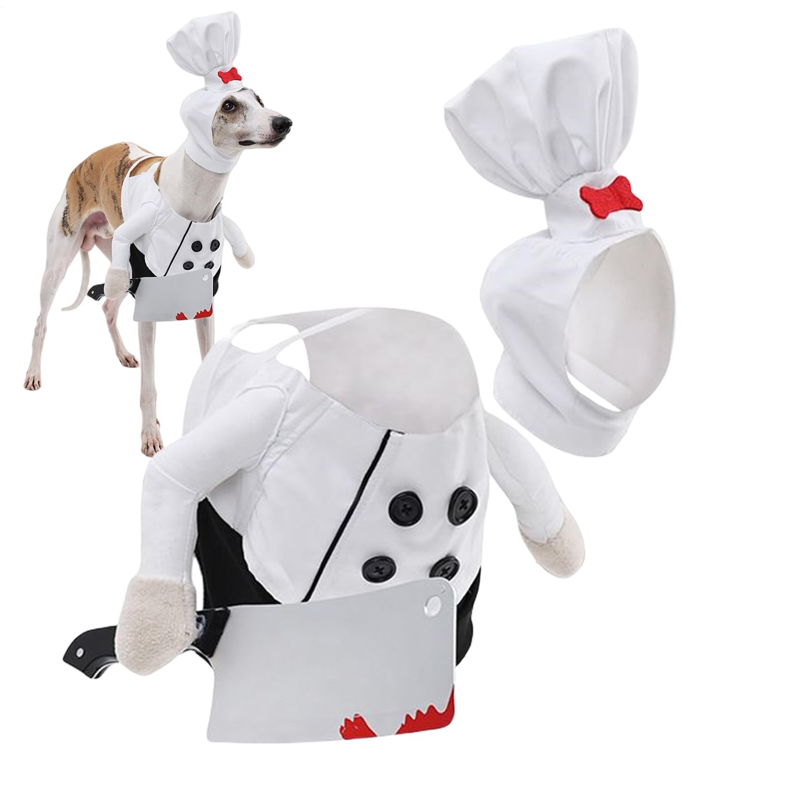 Déguisements d'halloween pour Chiens : Amusez Vos Invités Durant la Soirée Horreur en Famille