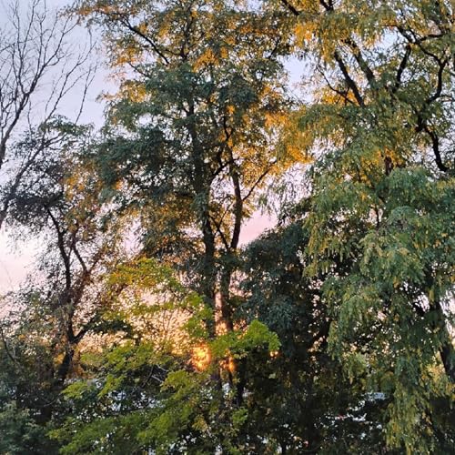 Painful Reminder💔❤️&zwj;🩹💖Loving Embrace