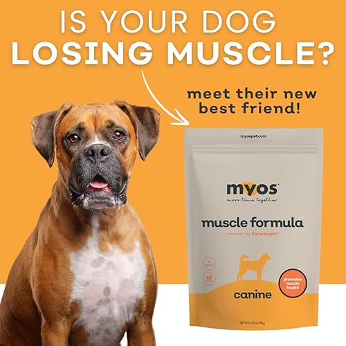 Miniatura 8 de MYOS Canine Muscle Formula - Suplemento de construcción muscular totalmente natural - Ayuda a reducir la pérdida muscular en perros envejecidos y