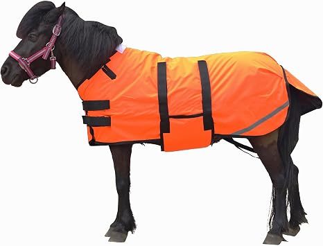 LEAFOREST 300 Denier Waterproof Pony Rug Foal Rug Turnout Rug Miniature Donkey Winter Blanket 150g Fill Orange 42IN-48IN