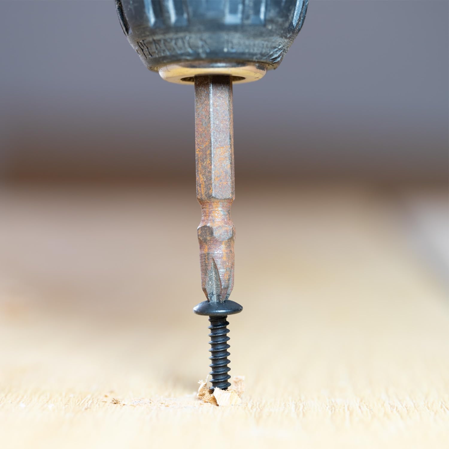 LUPANTER #8 X 1-1/4 Wood Screw 100Pcs Truss Head Phillips 18 8 304 Stainless Steel Fast Self Tapping Screws Black Oxide