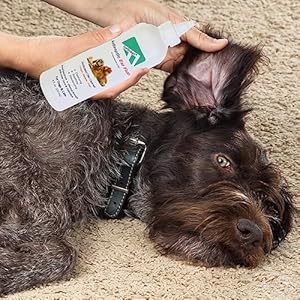 Forticept Dog Ear Infection Treatment Kit, Dog Ear Cleaner 8oz and Dog Ear Drops 2oz