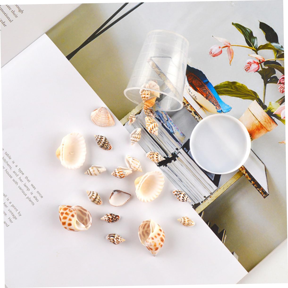 Cabilock Unique Natural Spiral Shell Beads Mini Seashells DIY Accessories Perfect for Epoxy Projects