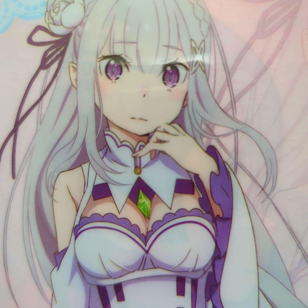 Amazon.co.jp: ?リゼロ エミリア レムA4クリアファイル Re ゼロ