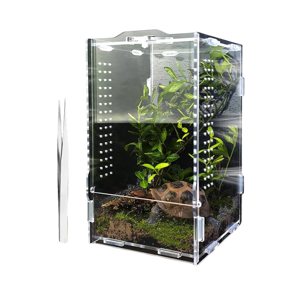 Amazon | Rhinozix ハエトリグモ飼育ケース、タランチュラ飼育ケース