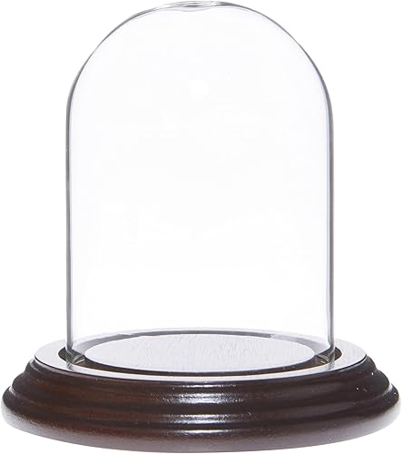 Miniatura 4 de Plymor Cúpula de cristal pequeña de 2.5 x 3.5 pulgadas (base de chapa de madera negra)