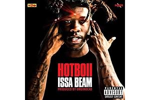 Hotboii Issa Beam: Enhance Your Space with Swerving Style