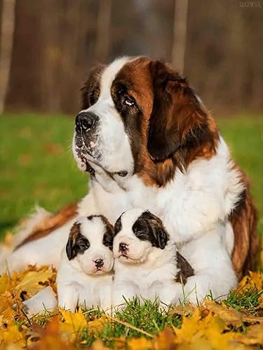 Pintura de diamante 5D para bricolaje, perro de San Bernardo para adultos, bordado redondo de diamante completo, punto de cruz, arte, manualidades,