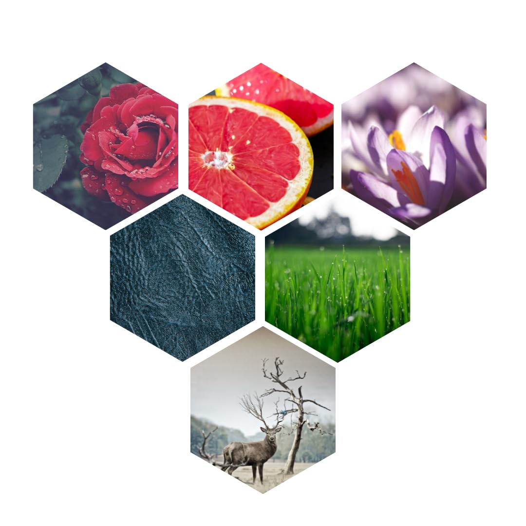 Iyan Aromatics Black Rose Attar | 12 ML