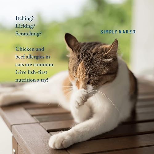 Miniatura 7 de Alimento para gatos de eglefino silvestre y bacalao, sin pollo u otros subproductos animales, rico en ácidos grasos Omega 3 y 6, pescado capturado