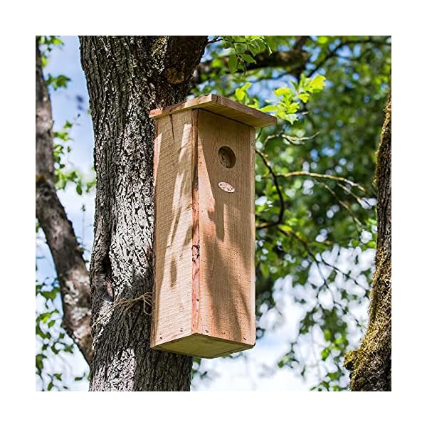 SIDCO Nistkasten Buntspecht Vogelhaus Holz Nisthöhle Specht Nisthilfe Futterhaus Deko – Bild 8