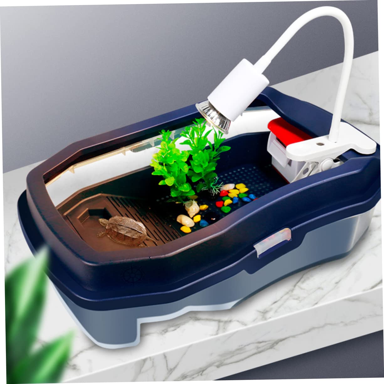 minkissy Terrario Resistencia al Desgaste y Rotura para Tortugas de Alimentación Tanque Doble de Plástico Azul Área para Comer y Nadar