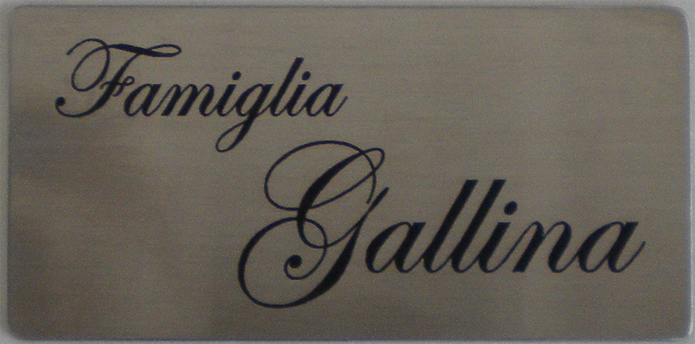 GUIZZO Creart - Targa Personalizzata con Nome, Via e/o Numero Civico Esterno, in Acciaio Inox - Targhetta Made in Italy, Targhetta Porta Ingresso Personalizzata Multiuso, 15x7.5H cm