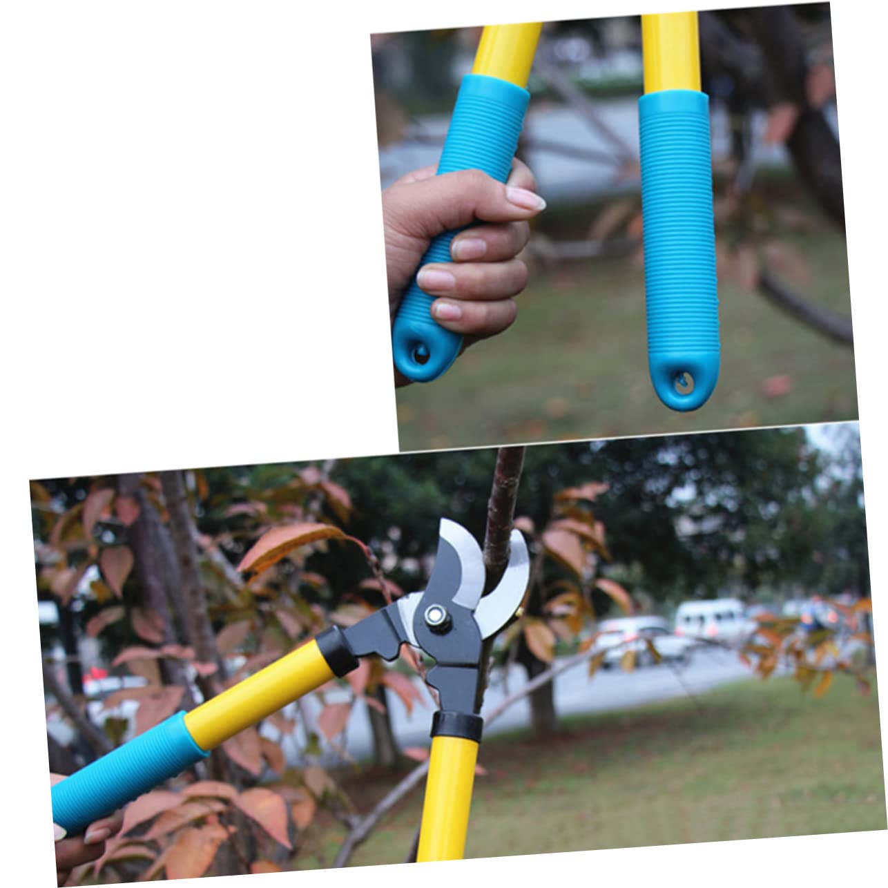 Sécateur de Jardin 1 Pièce en Acier au Manganèse Pvc