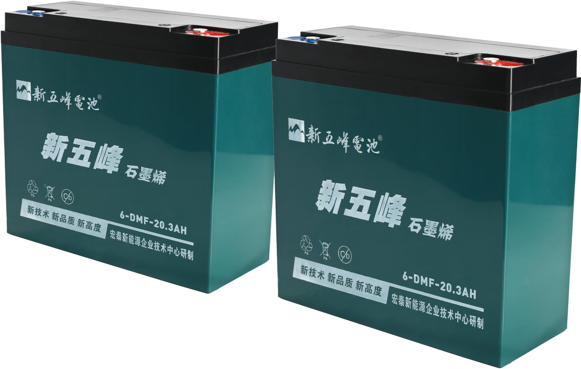 2 Pack 12V 20AH Sealed Lead Acid 6-DMF-20 6-DZM-20 6-DZF-20 Battery with Nut & Bolt Connector Rechargeable Battery 6DZM20 for Electric Scooter E Bike Go Kart ATV Quad Buggy Golf Cart