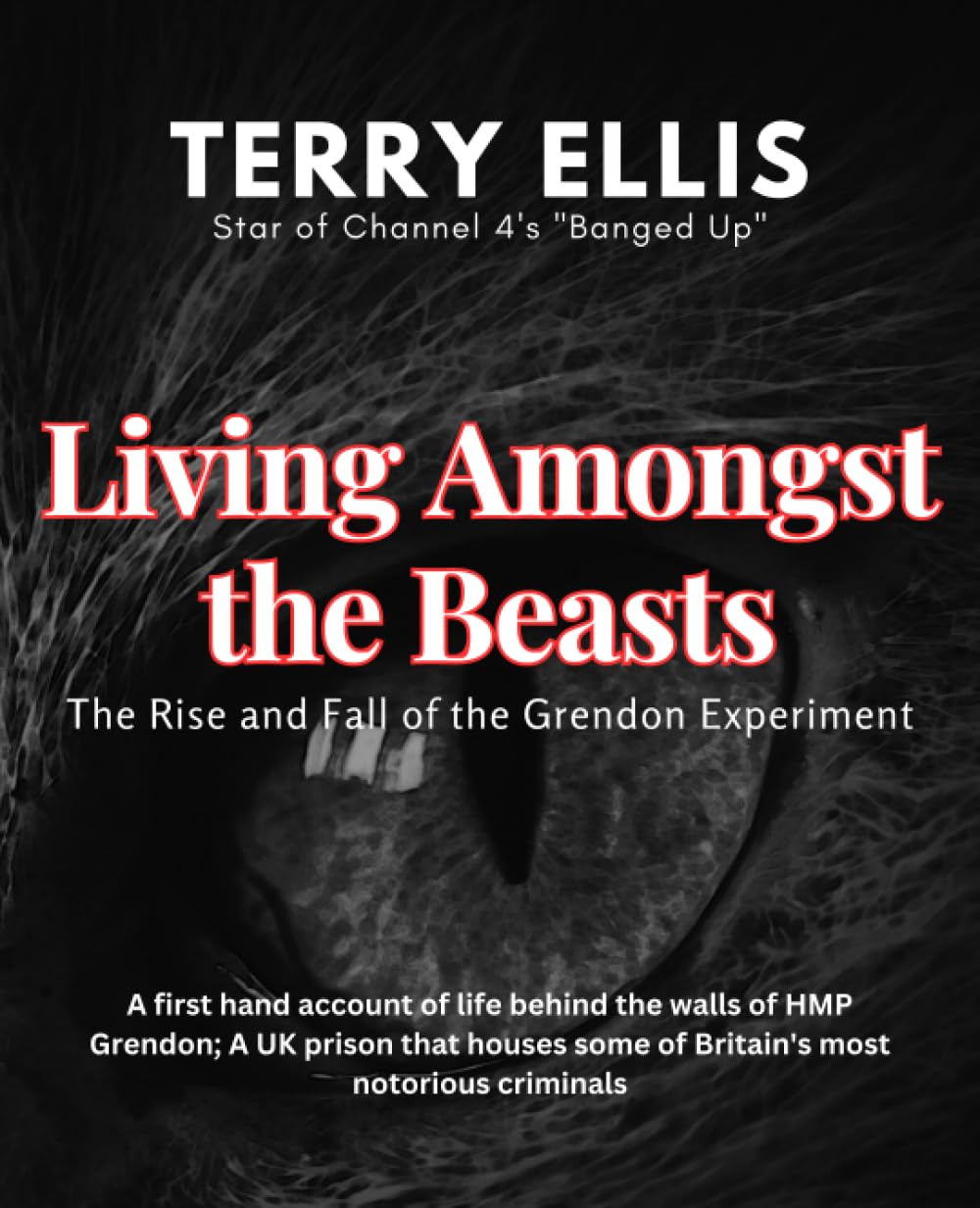 Living amongst the beasts: The rise and fall of the Grendon experiment: 2 (Terry Ellis - The Journey to Redemption)