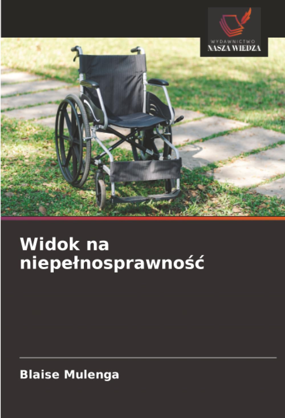 Widok na niepelnosprawnośc