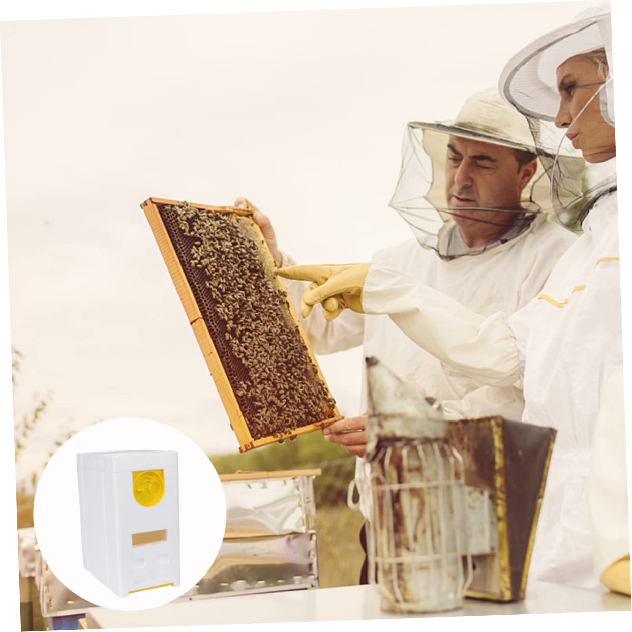 TOYANDONA Arnia In Schiuma Doppia Con Scatola Accessorio Per Apicoltura Strumento Per Api Strumento Per Apicoltura