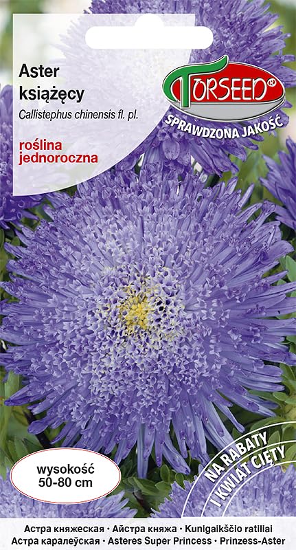 Blue Emperor Aster Aster novi-belgii nasiona – żywe kwiaty rurkowe, idealne do grządek i kwiatów ciętych, wysokość 50-80 cm, przyjazne dla początkujących jednoroczne (0,5 g)
