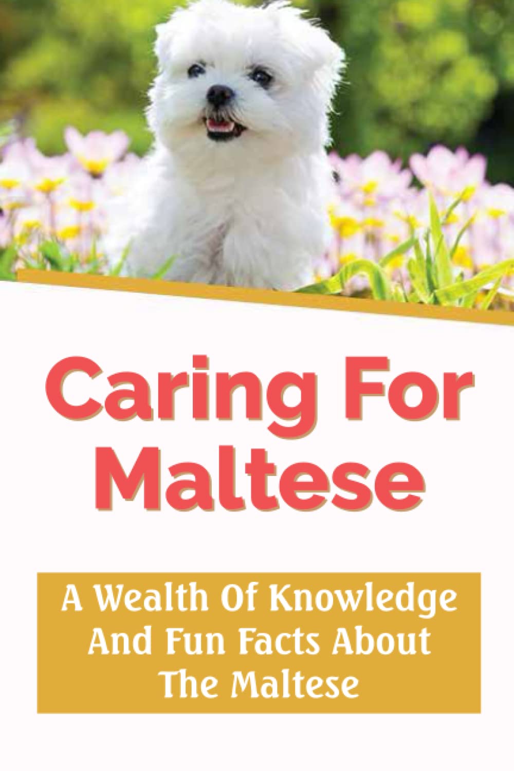 Caring For Maltese: A Wealth Of Knowledge And Fun Facts About The Maltese