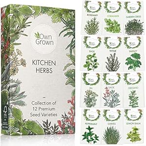 Herb Seeds Set: Herbs Seeds for Planting – 12 Varieties of Herb Plants – Seed Gifts Box with Herb Garden Seeds…