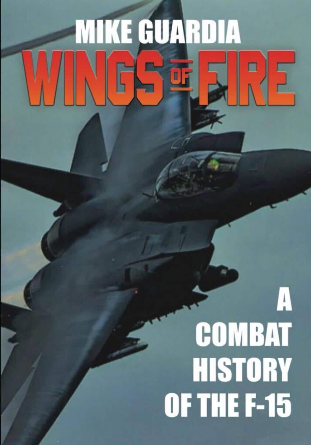 Wings of Fire: A Combat History of the F-15: 2 (Fighter Jet)
