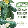 Seed Needs Zucchini Seeds for Planting Black Beauty Summer Squash - Non-GMO, Heirloom & Untreated - Prolific Yields of Delicious Zucchinis in a Home Grown Outdoor Vegetable Garden (1 Pack) #3
