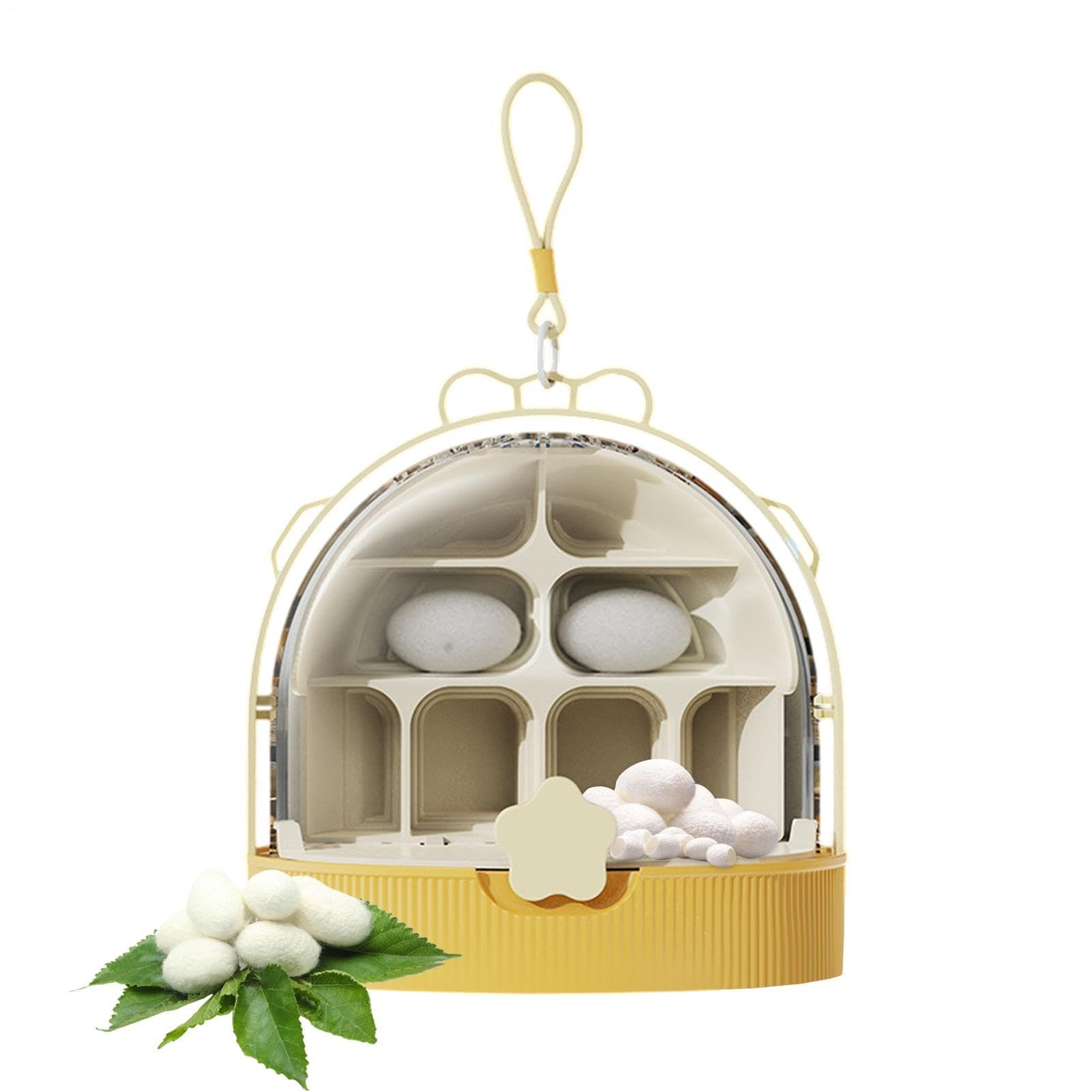 Boîte de ver à soie pédagogique, un cadeau nature idéal pour filles et garçons