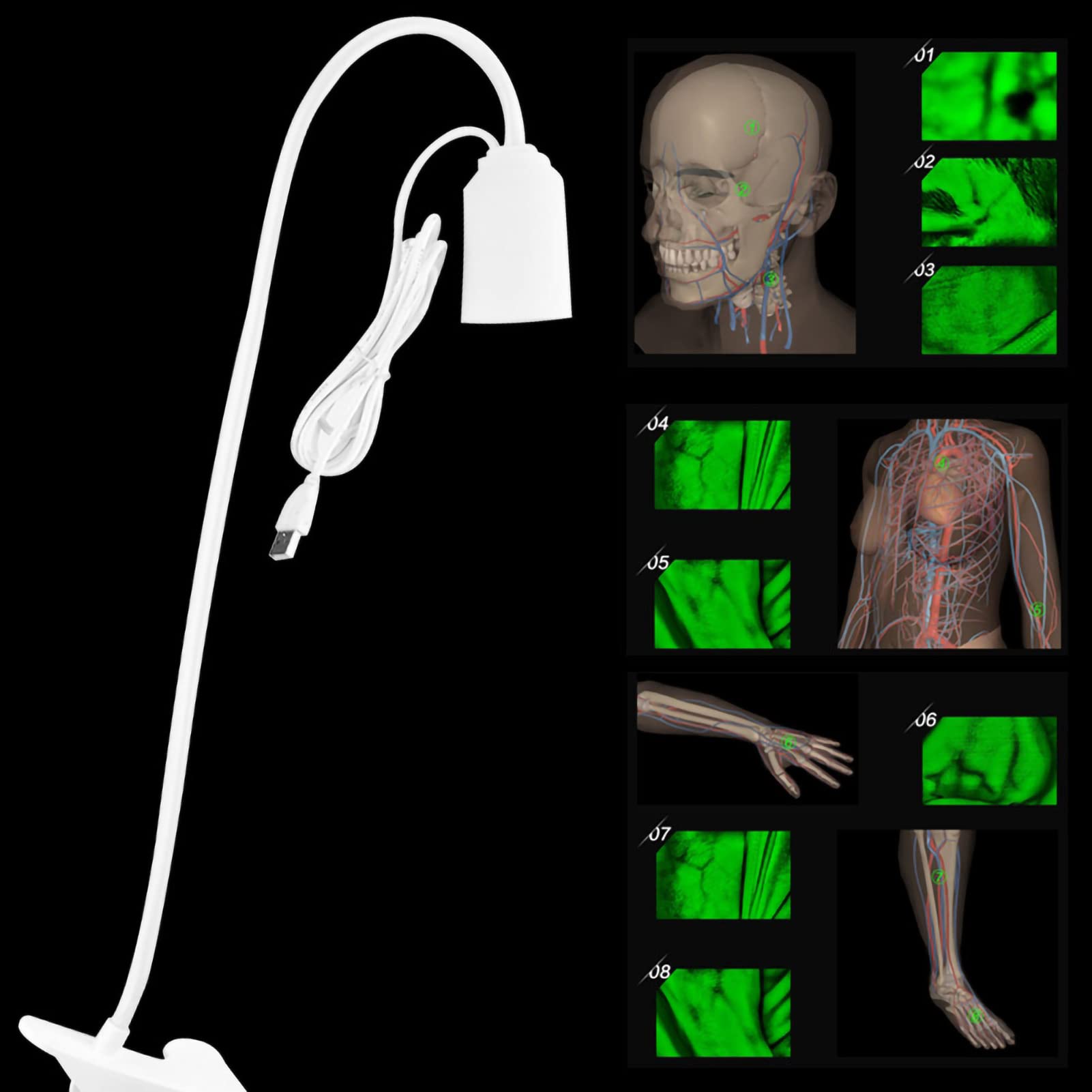 HURRISE Viseur Veineux, Viseur Veineux, De Veines, Détecteur De Veines, Transsilluminateur Durable, Détecteur De Veines, for Détecteur De Veines pour Hôpital.