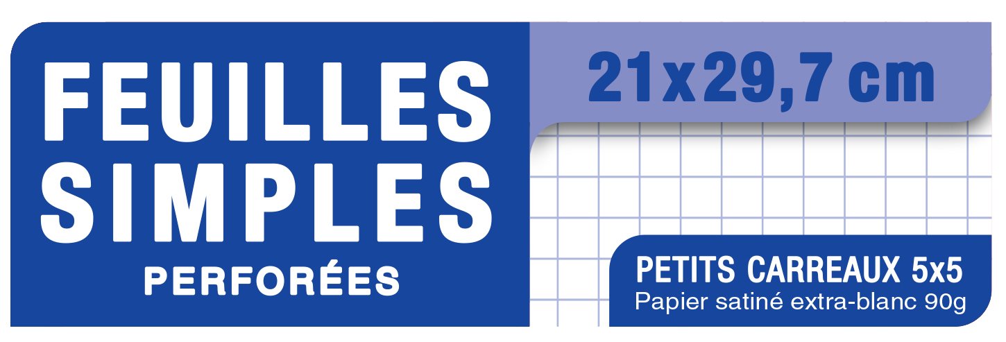 Oxford 300 Feuilles A4 à Petits Carreaux 5mm - 90g Avec Marges - Perforées