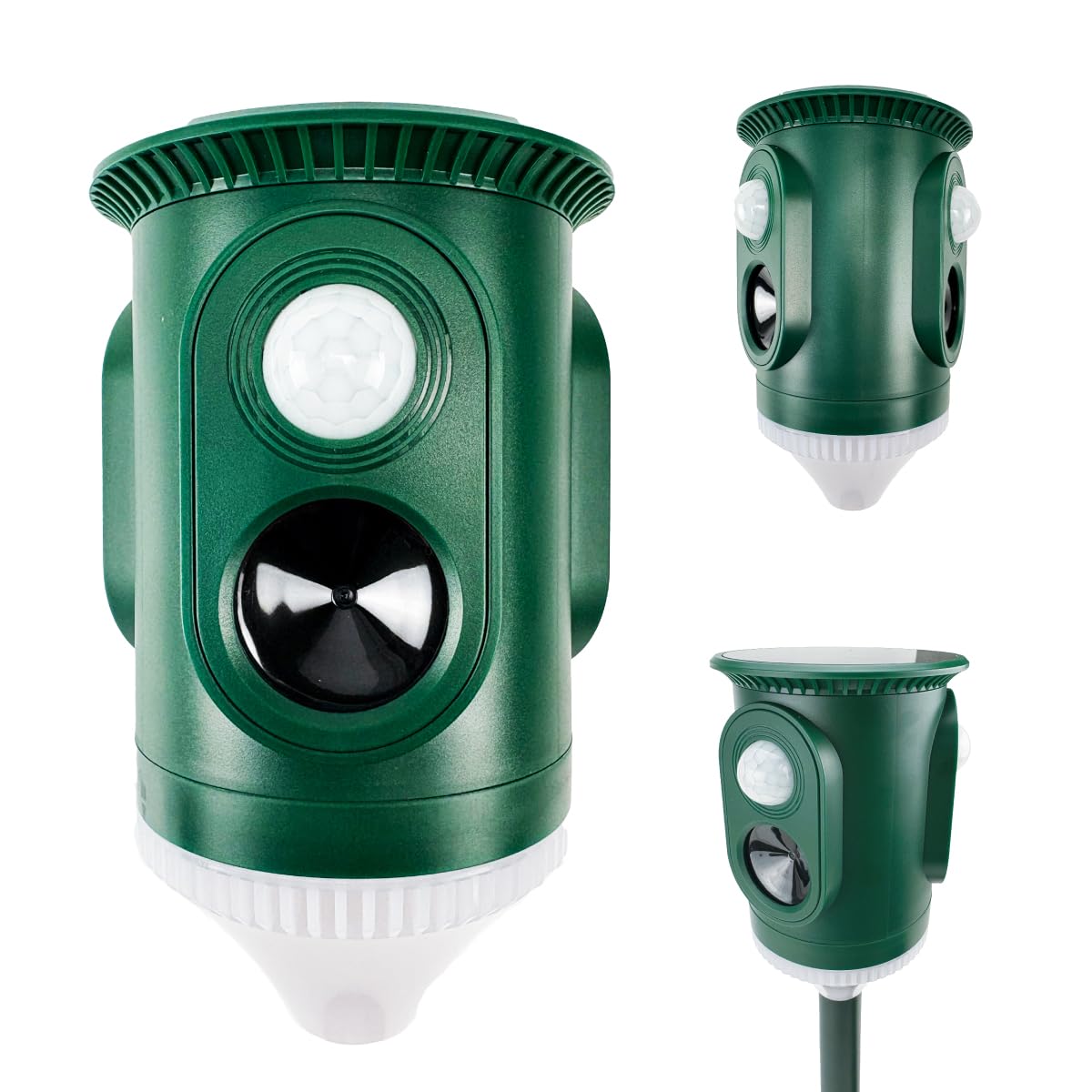 怪物＠プロフ確認お願い致しますページ aut-009_rt12a.jpg