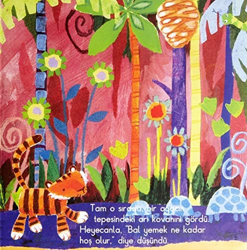 Çizgili - Görsel 6