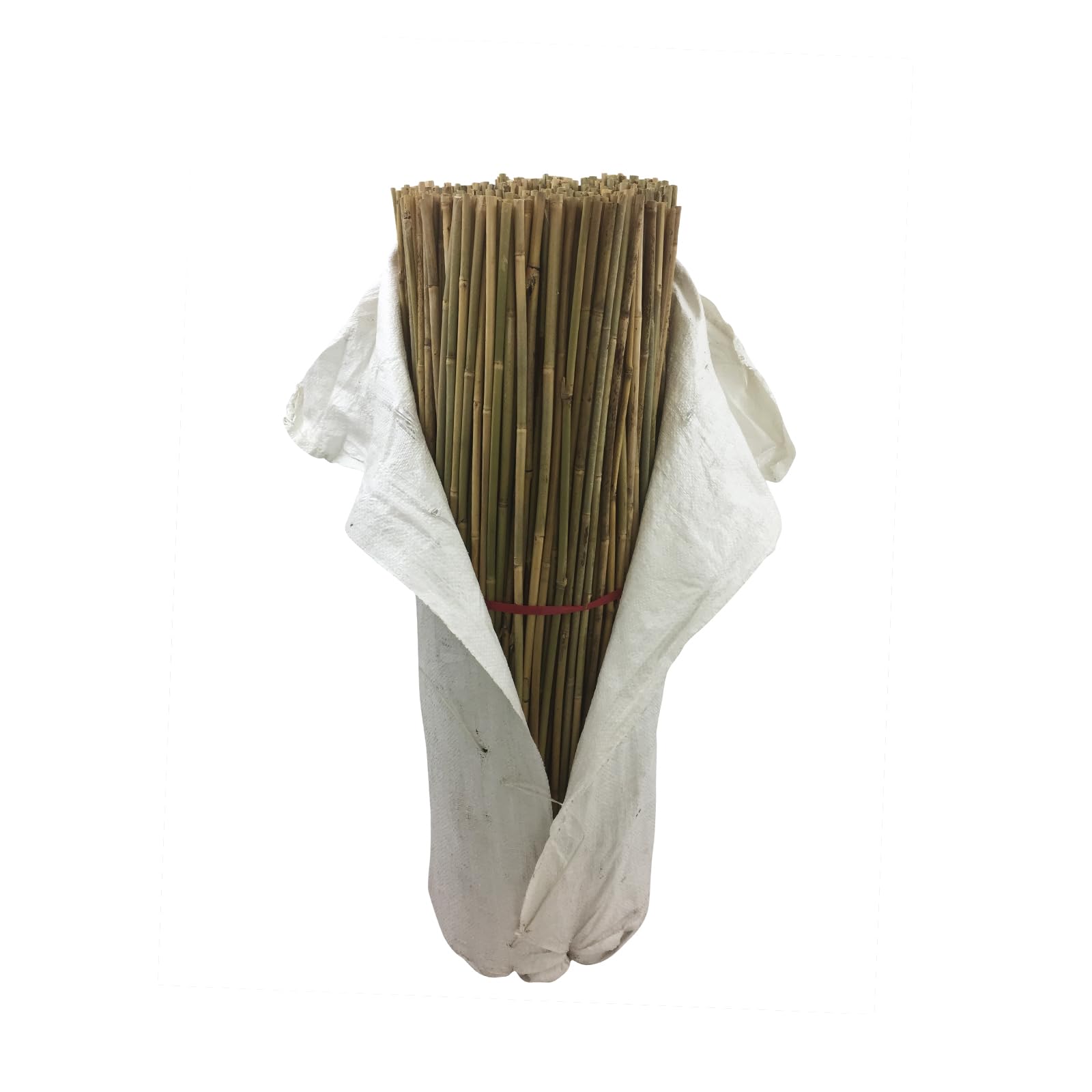 Oakland Gardens Bamboo Canes 3ft Thick Stake Garden Plant Flower Support Stick Cane Pole Frame | Thin 8-10mm, Pack of 500