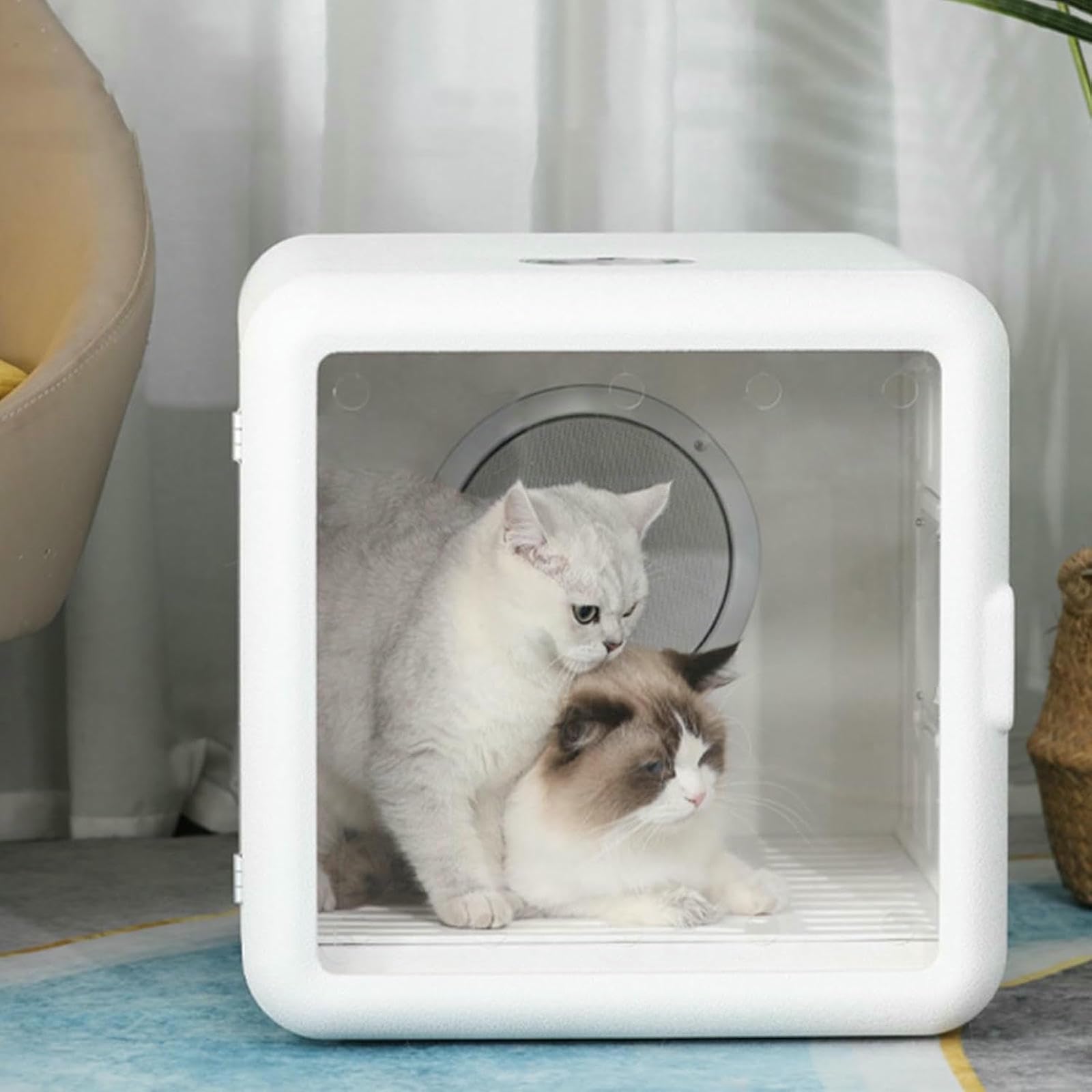 Boîte de séchoir pour chats et chiens machine électrique automatique avec minuterie