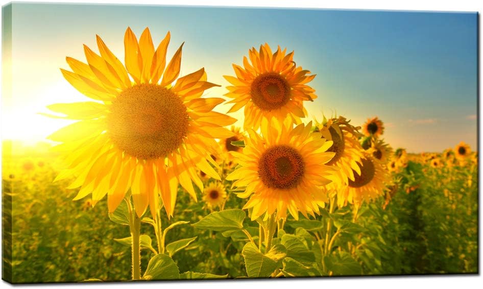 Nachic Wall Sunflower Canvas Wall Art Beautiful Field at Sunrise Picture Nature Landscape Painting on Canvas Modern Home Living Room Bedroom Wall Decoration Stretched and Framed Ready to Hang