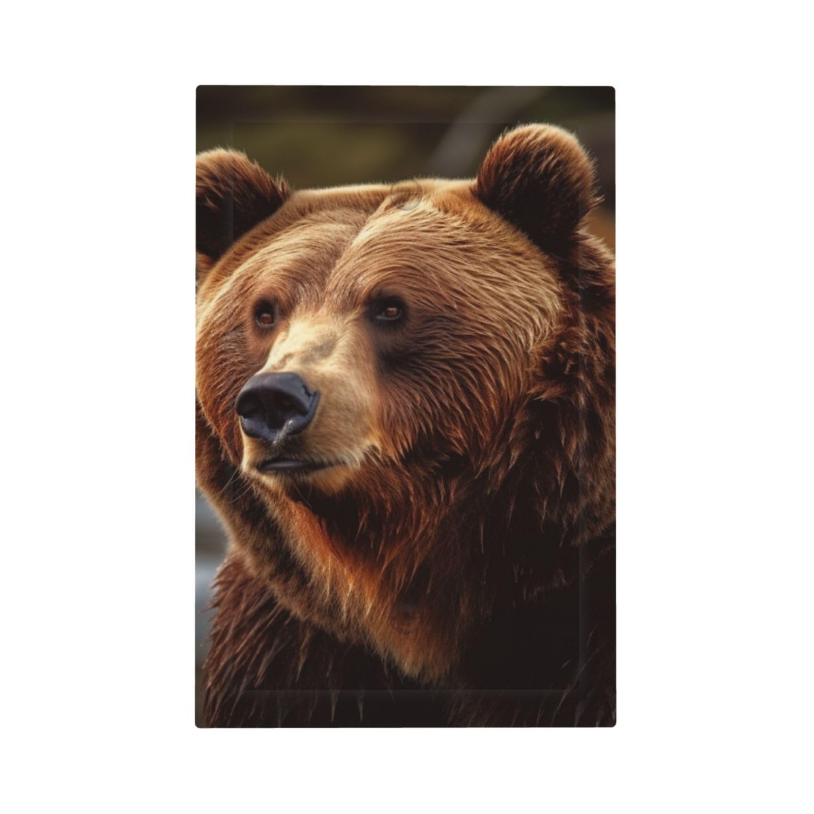 1-Gang Decorator Wall Plate Grizzly Bear Light Switch Cover Single Gang Receptacle Outlet Wall Plate Mid Size 5" x 3" Wallplate Unbreakable Polycarbonate Outlet Faceplates Covers