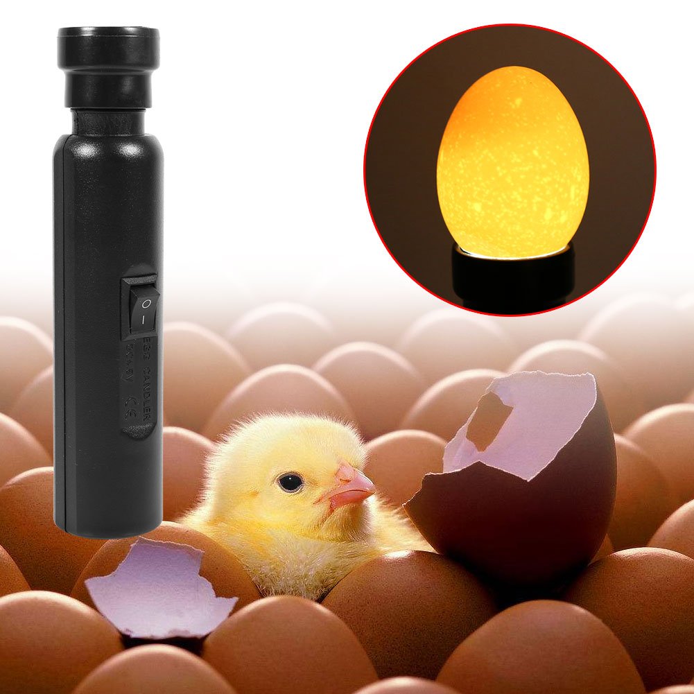 Egg Tester - Testeur d'oeufs Candler Mire œuf Lumineux Cool LED Portable pour Surveillance Incubateur d'oeufs