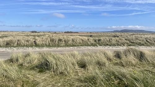 Naturescapes: Getting A Helping Hand From The Natural World