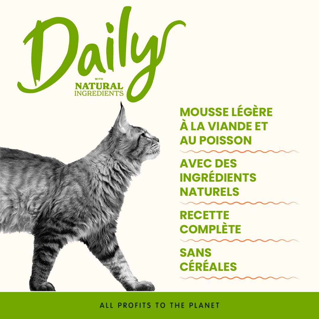 Almo Nature Daily - Nourriture Humide pour Chats Adultes - Mousse - Poisson de l’Océan - 85 g, Pack de 24