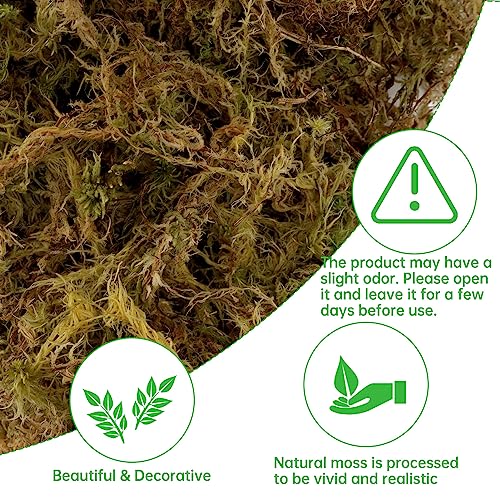 17.6 Oz Large Capacity Artificial Moss For Potted Plants,Natural Artificial Moss Grass For Fake Plants Indoor,Craft Moss And Greenery Bulk,Forest Moss For Hamsters(Fresh Green) #TOP2