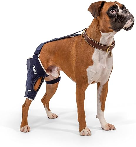 Miniatura 14 de Balto Rodillera ortopédica ACL/CCL para perros - Estabilizador de piernas ajustable para dolor en las articulaciones, recuperación de lesiones