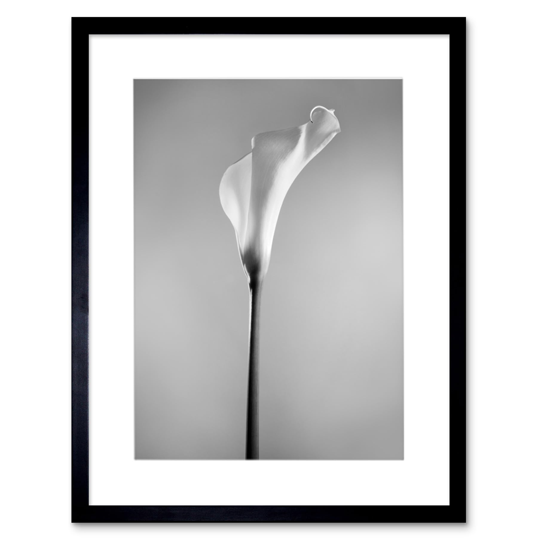 Wee Blue Coo Framed Black 12X16 Flower Black And White Calla Lily Art Print Framed Poster Wall Decor 12X16 Inch