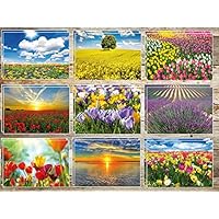 Edition Colibri Juego de 20 tarjetas postales para primavera y