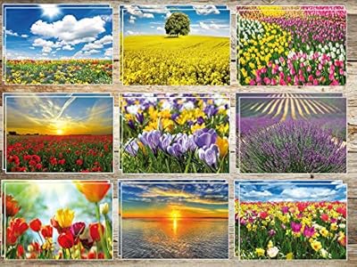 Edition Colibri Juego de 20 tarjetas postales para primavera y verano con 10 diferentes de 2 unidades = 20 unidades para postcrossing y escritores múltiples, respetuoso con el medio ambiente, ya que | Ya disponible en tu tienda friki favorita! En mundofriki.es!