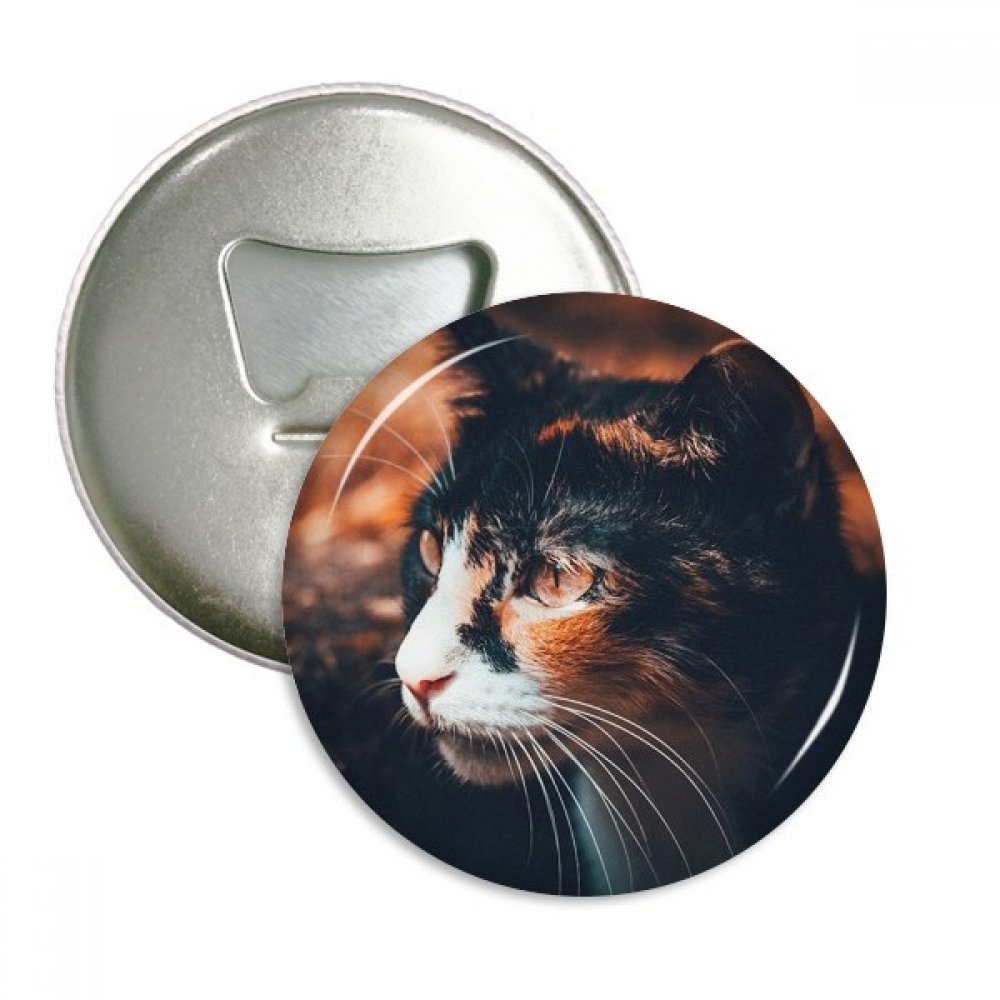Ouvre-bouteille aimanté chat marron pour ne plus jamais chercher votre décapsuleur de frigo