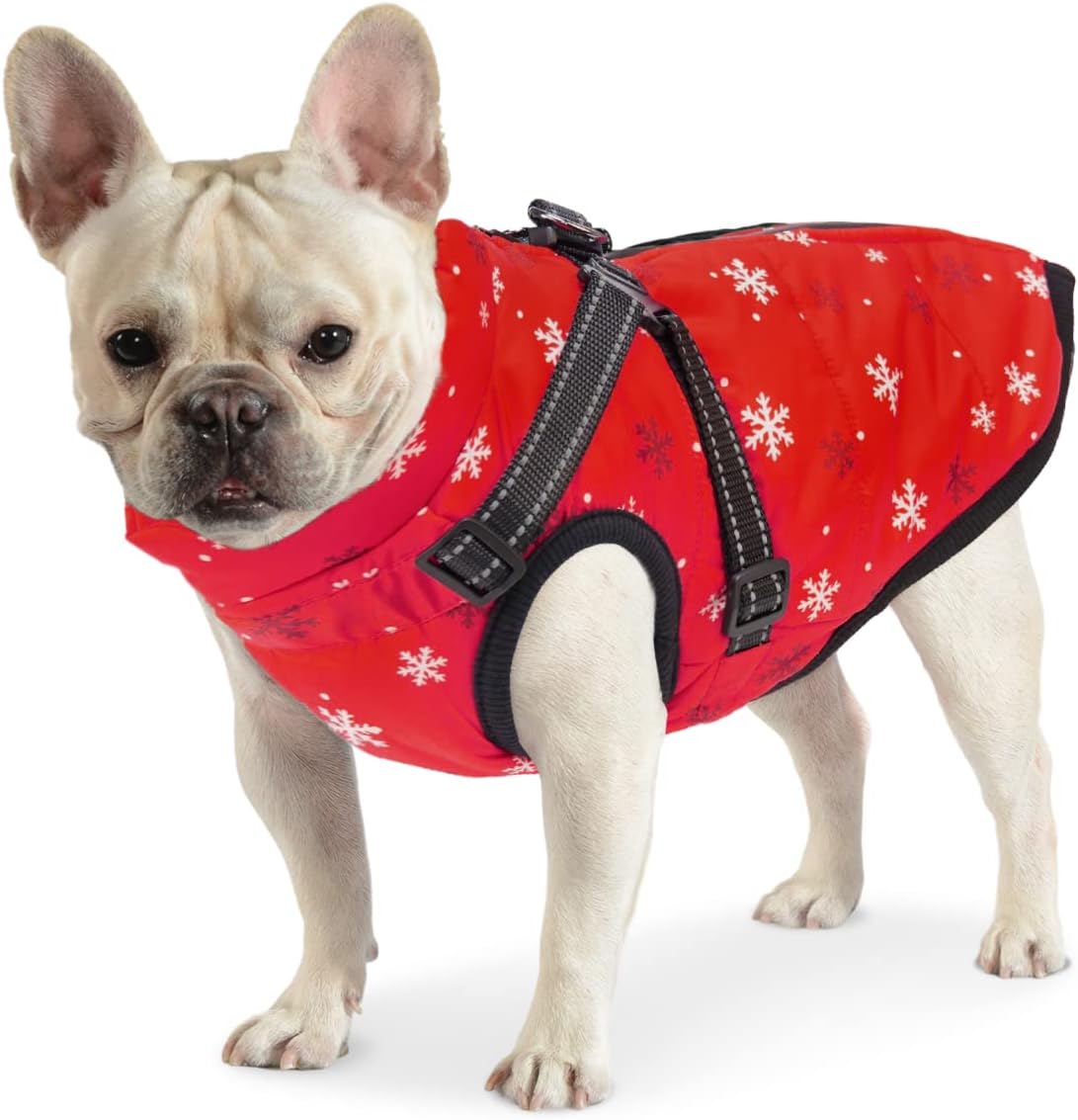 Dociote Dog Clothes for Small Dogs, Waterproof Dog Coat with Harness