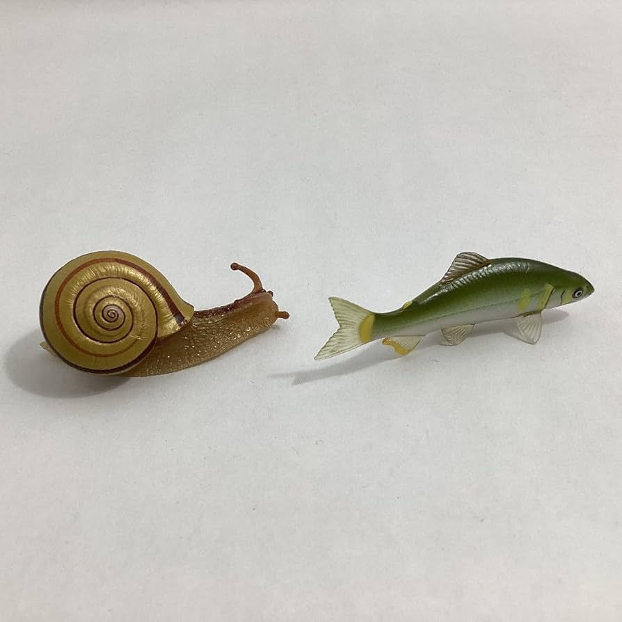 あゆちゃん　中国産カニ化石 あゆちゃん様専用 中国産カニ化石