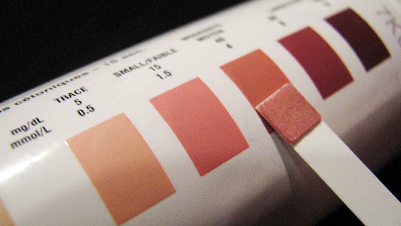 Ketone Keto Urine Test Strips - Accurately Measure Your Fat Burning Ketosis Levels Quickly (10 Packs of 5 Strips)