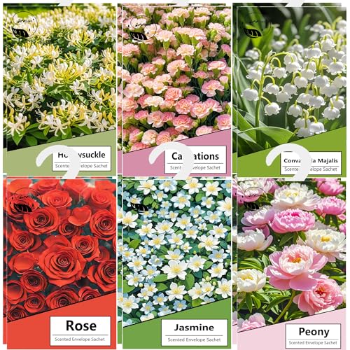 12PCS Saquitos Armario ambientador Lavanda, Perfumador Ropa, Ambientador Armario Ropa Limpia, Bolsa Guardarropa, Hogar Saquitos Armario Ropa, Bolsita Refrescador para Coche, Zapatero (mezclada)
